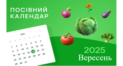 Посевной календарь на сентябрь 2025 