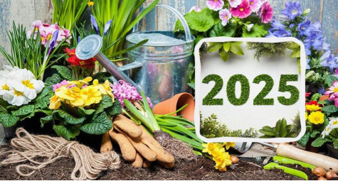 Посевной календарь 2025