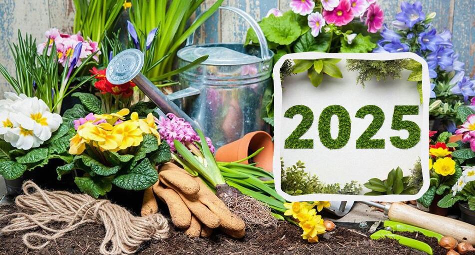 Посевной календарь 2025