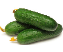 Семена огурцов самоопыляющихся