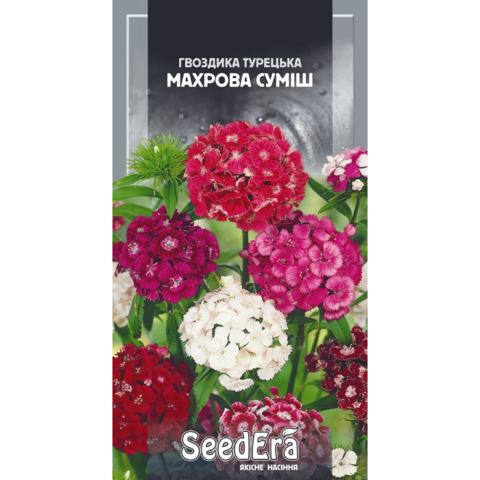 Насіння Гвоздика Турецька махрова суміш 0,5 г Seedera