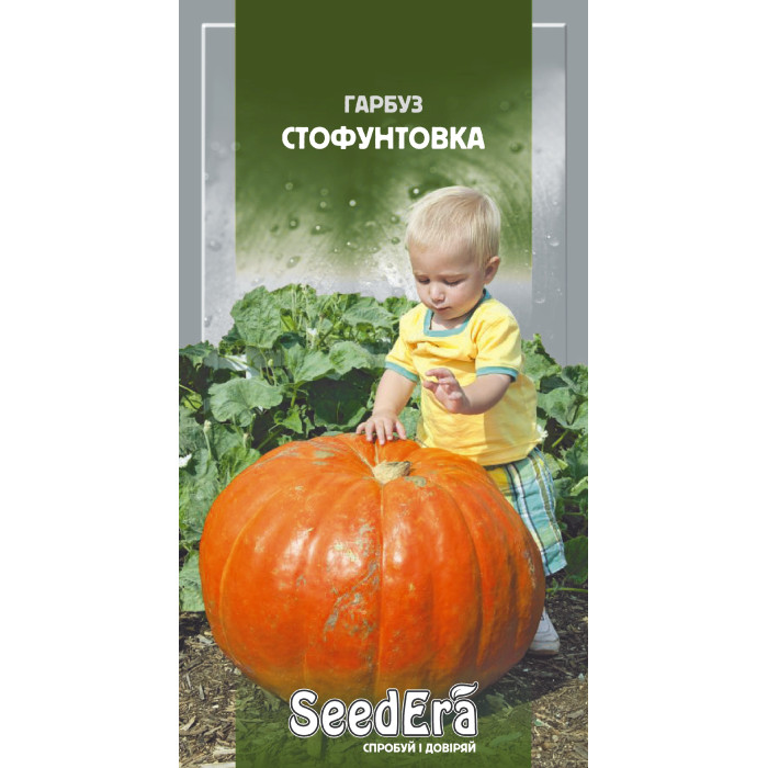 Насіння Гарбуз Стофунтовка 20 г Seedera