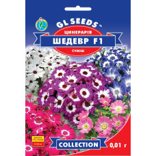 Насіння Цинерарія Шедевр F1 0,01 г GL Seeds
