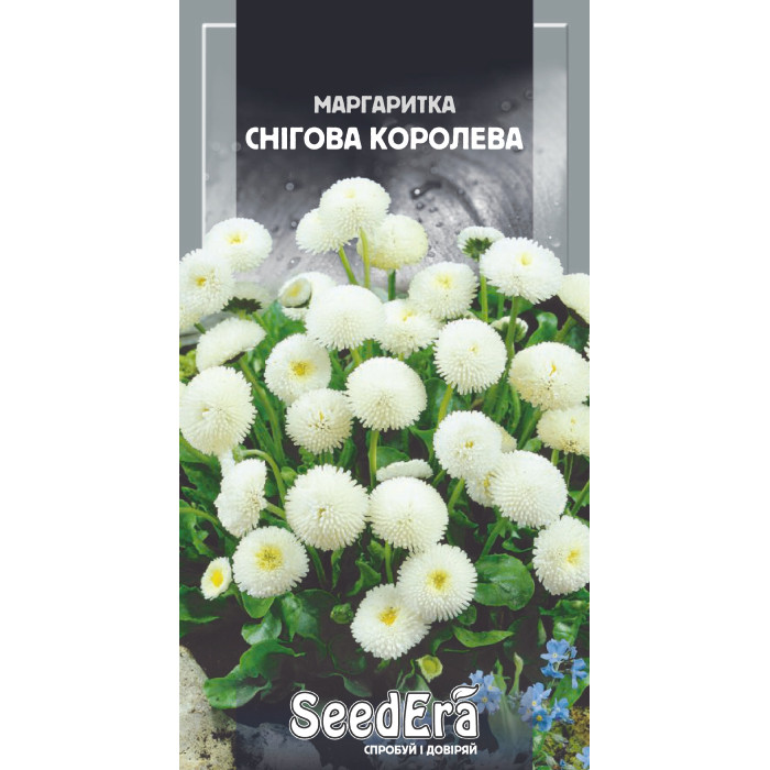Насіння Маргаритка Снігова королева 0,1 г Seedera