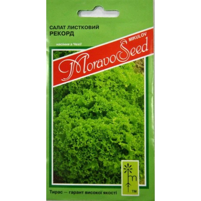 Насіння Салат Рекорд 0,8 г Тирас Moravo Seed