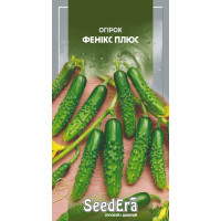 Насіння Огірок Фенікс Плюс 1 г Seedera