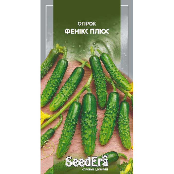 Насіння Огірок Фенікс Плюс 1 г Seedera