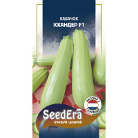 Насіння Кабачок Іскандер F1 5 шт Seedera