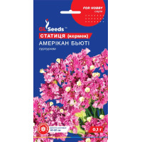 Насіння Кермек Статиця Амерікан бюті 0,1 г GL Seeds