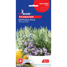 Насіння Розмарін Морська роса 0,1 г GL Seeds
