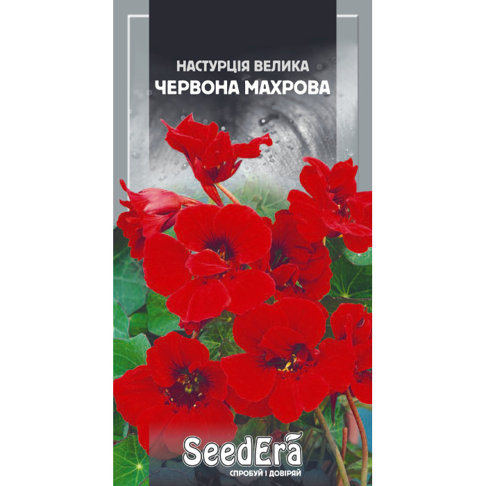 Насіння Настурція велика Червона махрова 1,5 г Seedera