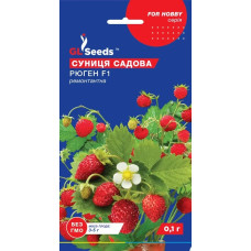 Насіння Суниця ремонтантна, Рюген F1, 0,1 г, GL Seeds