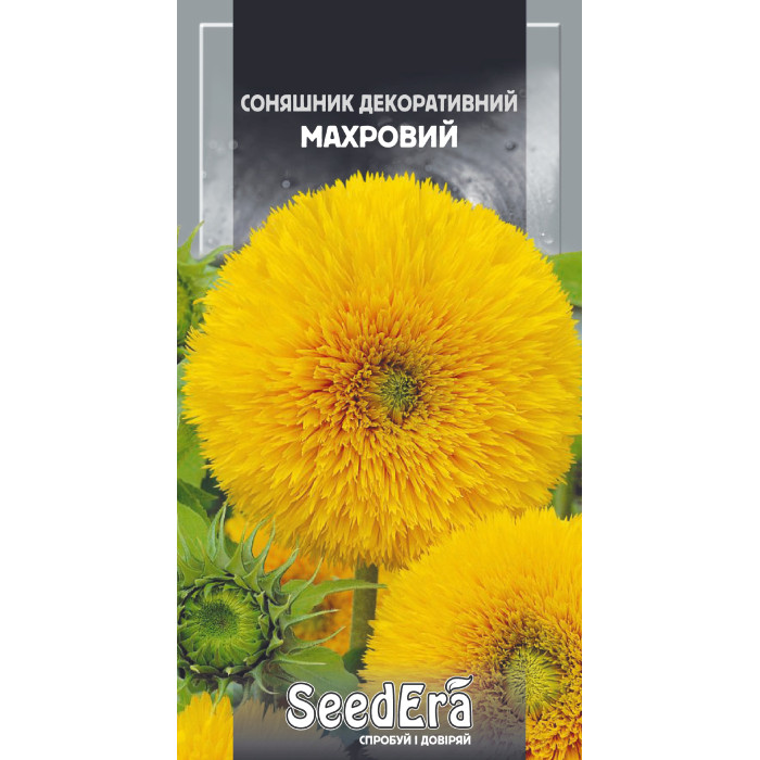 Насіння Соняшник декоративний Махровий 1 г Seedera