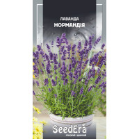 Насіння Лаванда Нормандія багаторічна 0,1 г Seedera