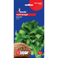 Насіння Кінза Коріандр Янтар, 4 г, GL Seeds