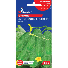 Насіння Огірок Виноградне гроно F1 10 шт GL Seeds