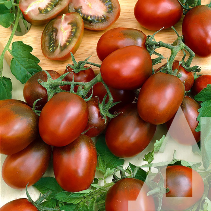 Насіння Томат Де Барао чорний, 0,1 г, Садиба Традиція