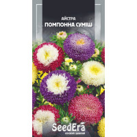 Насіння Айстра середньоросла Помпонна суміш 0,25 г Seedera