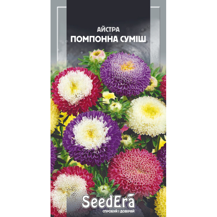 Насіння Айстра середньоросла Помпонна суміш 0,25 г Seedera
