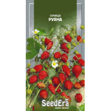Насіння Суниця ремонтантна Руяна 0,05 г Seedera