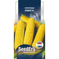Насіння Кукурудза цукрова Спіріт F1 20 шт Seedera