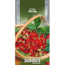 Насіння Суниця ремонтантна, Регіна, 0,05 г, Seedera