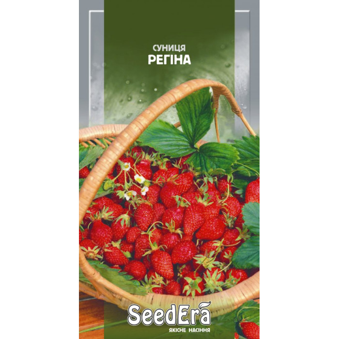Насіння Суниця ремонтантна, Регіна, 0,05 г, Seedera