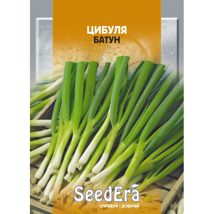 Насіння Цибуля батун 10 г Seedera