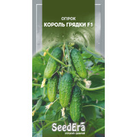 Насіння Огірок Король Грядки F1 10 шт Seedera