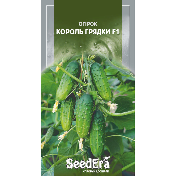 Насіння Огірок Король Грядки F1 10 шт Seedera
