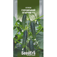 Насіння Огiрок Городський огурчик F1, 10 шт, Seedera