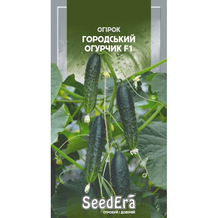 Насіння Огiрок Городський огурчик F1, 10 шт, Seedera