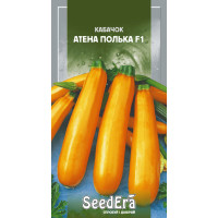 Насіння Кабачок Атена Полька F1 10 шт Seedera