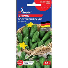 Насіння Огірок Воргебірштраубен, 0,5 г, GL Seeds