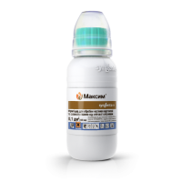 Протруйник Максим 100 мл Оригінал, Syngenta
