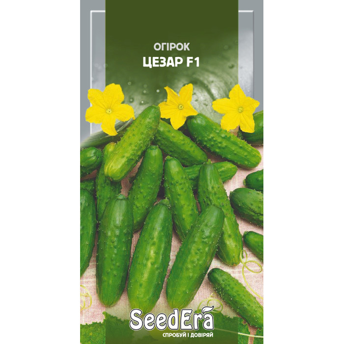 Насіння Огiрок Цезар F1, 0,5 г, Seedera