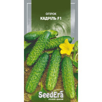 Насіння Огiрок Кадріль F1, 10 шт, Seedera