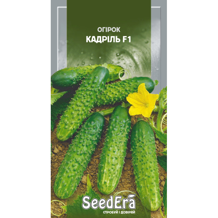 Насіння Огiрок Кадріль F1, 10 шт, Seedera