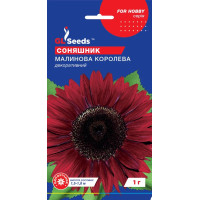 Насіння Соняшник декоративний Малинова королева 1 г GL Seeds