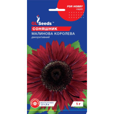 Насіння Соняшник декоративний Малинова королева 1 г GL Seeds