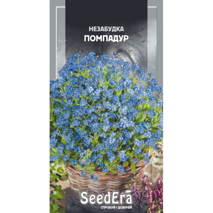 Насіння Незабудка садова Помпадур багаторічна 0,1 г Seedera