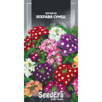Насіння Вербена гібридна Яскрава суміш 0,2 г Seedera