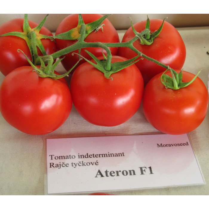 Насіння Томат Атерон F1 0.1 г Тирас Moravo Seed