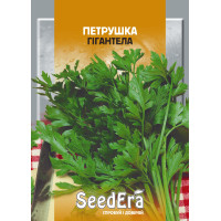 Насіння Петрушка листова Гігантела 20 г Seedera