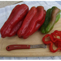 Насіння Перець солодкий Фатіма, 0,4 г, Тирас Moravo Seed