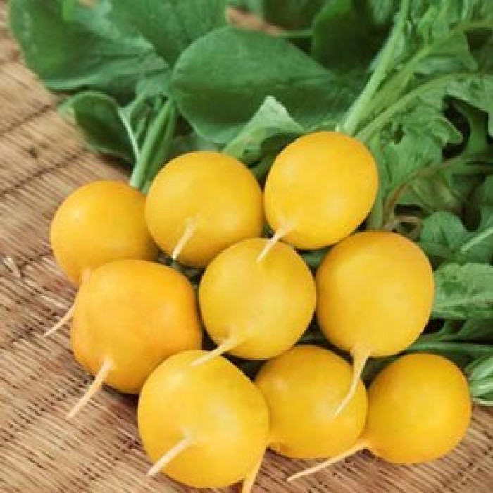 Насіння Редиска Злата 3 г Тирас Moravo Seed