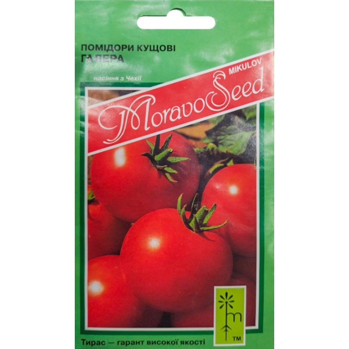 Насіння Томат низькорослий кущовий Галера, 0,2 г, Тирас Moravo Seed