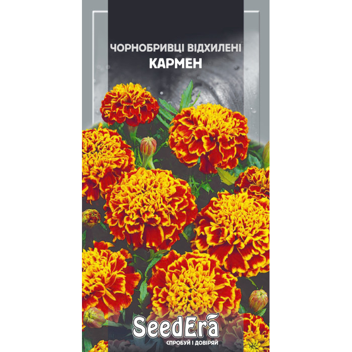 Насіння Чорнобривці низькорослі відхилені Кармен, 0,5 г, Seedera