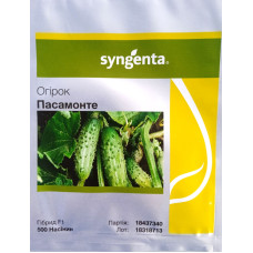 Насіння Огірок Пасамонте F1, Syngenta (1 шт) Голандія