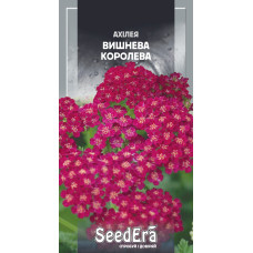 Насіння Ахілея багаторічна Вишнева королева 0,1 г Seedera